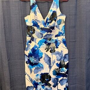 Floral Blue and White Dress